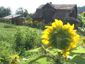 transilvania, cazare, agroturism